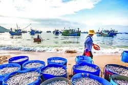 Mở không gian biển để dòng vốn ra khơi