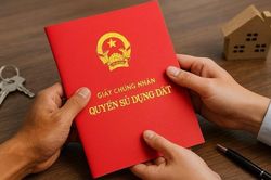 Dùng sổ đỏ giả giao dịch nhà đất, có thể bị phạt tù