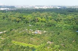Đẩy nhanh GPMB dự án Khu Công viên công nghệ số