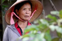 Bà Trần Thị Chung - Tấm gương nông dân Việt Nam xuất sắc 40 năm đổi mới