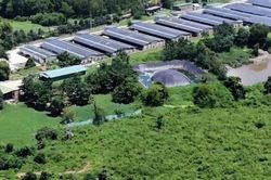 Đắk Lắk phê bình 35 xã, phường chưa kê khai các hoạt động chăn nuôi 6 tháng đầu năm 2026