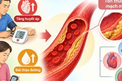 Phòng ngừa và kiểm soát tăng huyết áp khi mắc đái tháo đường
