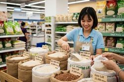 Giá lúa gạo hôm nay 5.10.2026: Chưa xuất hiện nhịp tăng mới