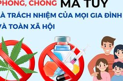 Triển khai đồng bộ, hiệu quả Chương trình mục tiêu quốc gia phòng, chống ma túy đến năm 2030