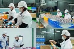 Hơn 223,9 nghìn doanh nghiệp thành lập mới và quay trở lại hoạt động 9 tháng năm 2026