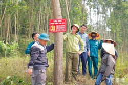 Người Trưởng thôn tận tụy