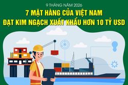 Việt Nam có 7 mặt hàng xuất khẩu trên 10 tỷ USD trong 9 tháng năm 2026
