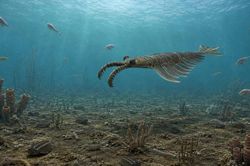 Anomalocaris – quái vật dài 1 mét thống trị đại dương 500 triệu năm trước