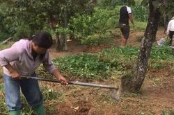Thay đổi tư duy phát triển kinh tế nhờ các lớp học nghề cho người dân nghèo