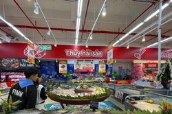 Hỗ trợ tín dụng đầu tư qua VDB cho doanh nghiệp nhỏ và vừa phát triển hạ tầng bán lẻ