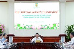 Tổ chức Ngày Pháp luật Việt Nam bảo đảm thiết thực, hiệu quả, tiết kiệm
