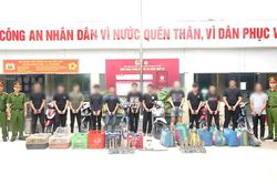Khởi tố 12 bị can trong vụ trộm 2.700 con mèo tại TP.HCM