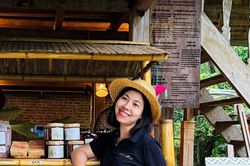 Người phụ nữ Mường 'đánh thức' lúa tẻ râu, mở sinh kế mới giữa 'bản 4 không'