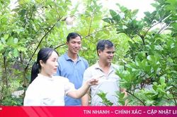 Những người không chuyên trách ở xã Cẩm Bình chọn ở lại với 'việc làng'