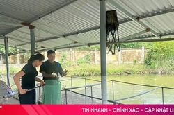 Nông nghiệp tuần hoàn - hướng đi bền vững cho nông dân
