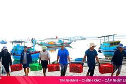Hà Tĩnh công bố 9 điểm lên cá tạm thời phục vụ quản lý, truy xuất nguồn gốc thủy sản