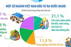 Đầu tư của Việt Nam ra nước ngoài trong 9 tháng đạt 2,77 tỷ USD