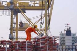 Đà Nẵng tăng tốc quý 4, quyết tâm đạt mục tiêu tăng trưởng hơn 11% năm 2026