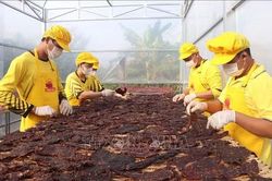 Tạo lực cho tăng trưởng 2 con số - Bài 3: Chính sách thuế tiếp sức doanh nghiệp