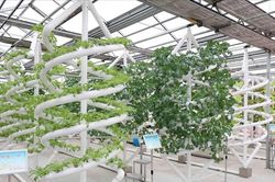 Kinh nghiệm số hóa nông nghiệp của Trung Quốc