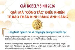 Giải Nobel Y sinh 2026: Giải mã 'công tắc' điều khiển tế bào thần kinh bằng ánh sáng