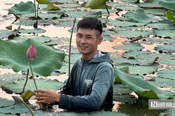 Quả ngọt bất ngờ cho chàng trai quyết 'đổi đời' vùng đất ruộng trũng