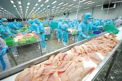 VASEP kiến nghị tháo gỡ vướng mắc thuế cho doanh nghiệp thủy sản