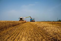 Ba Lan và Romania từ chối đề nghị hỗ trợ vận chuyển nông sản của Ukraine