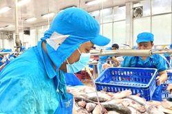 VASEP kiến nghị tháo gỡ loạt vướng mắc thuế cho doanh nghiệp thủy sản
