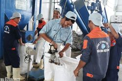 Bình An phát triển kinh tế gắn với bảo vệ môi trường