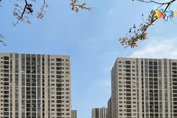 Giao chỉ tiêu phát triển nhà ở xã hội, nhà ở cho thuê cho các địa phương
