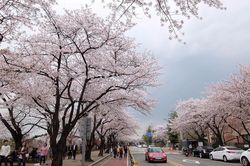 Seoul nhắm mục tiêu tốp 3 thành phố hàng đầu thế giới