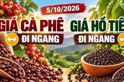 Giá cà phê, hồ tiêu hôm nay 5/10: Hai mặt hàng cùng đi ngang