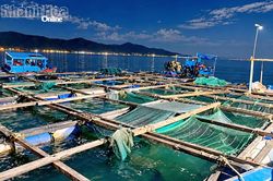 Xã Đại Lãnh: Lập lại trật tự nuôi trồng thủy sản