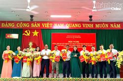 Xã Ninh Hải sắp xếp, kiện toàn các tổ chức đảng