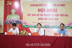 Đoàn đại biểu Quốc hội tỉnh tiếp xúc cử tri xã Dào San
