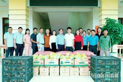 Nâng cao chất lượng đội ngũ cán bộ Hội Nông dân