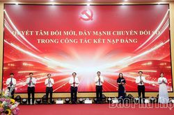 Nâng cao chất lượng sinh hoạt chi bộ, phát triển đảng viên gắn với chuyển đổi số