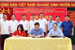 Chuyển giao chức năng quản lý nhà nước về địa chất, khoáng sản về Sở Công thương