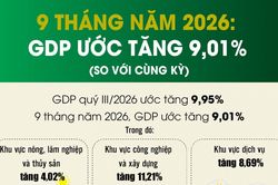 Infographics: 9 tháng năm 2026, GDP tăng 9,01%