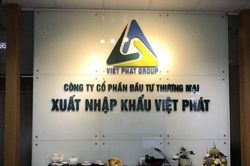 Cổ phiếu VPG của Xuất nhập khẩu Việt Phát vào diện kiểm soát