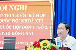 TP. Đồng Nai: Cử tri kiến nghị tháo gỡ vướng mắc về hạ tầng, đất đai