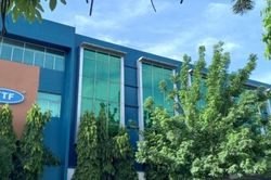 Gỗ Trường Thành: Từ 'ông lớn' ngành gỗ đến cổ phiếu 1.500 đồng, cuộc tái cấu trúc vẫn chưa về đích