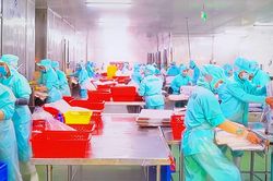Thủy sản tăng tốc, doanh nghiệp lại lo thiếu nguyên liệu