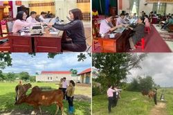 Tự hào người cán bộ 'sen hồng'
