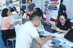 Sôi động phiên giao dịch việc làm những tháng cuối năm