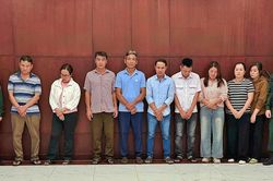 Triệt phá đường dây 'vỗ béo' heo bằng chất độc hại rồi bán ra thị trường thu lợi 600 tỷ đồng