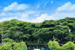 Thành Thành Công Biên Hòa (SBT) đặt mục tiêu thu 28.000 tỷ đồng, ồ ạt thoái vốn mảng ngoài ngành