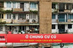 Cư dân chung cư cũ được bồi thường theo 1 trong 4 cách này