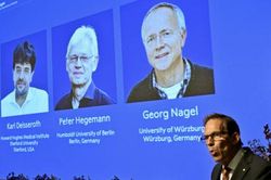 Giải Nobel Y sinh 2026 trao cho các nhà khoa học Mỹ và Đức về phát triển kỹ thuật quang di truyền